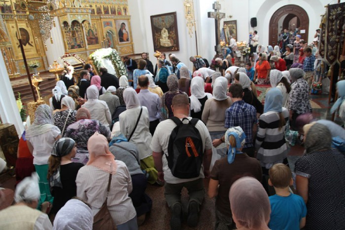 8a ���������� �������� �����