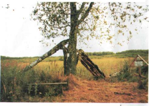 7abcd ����� ������ ��������� ���������