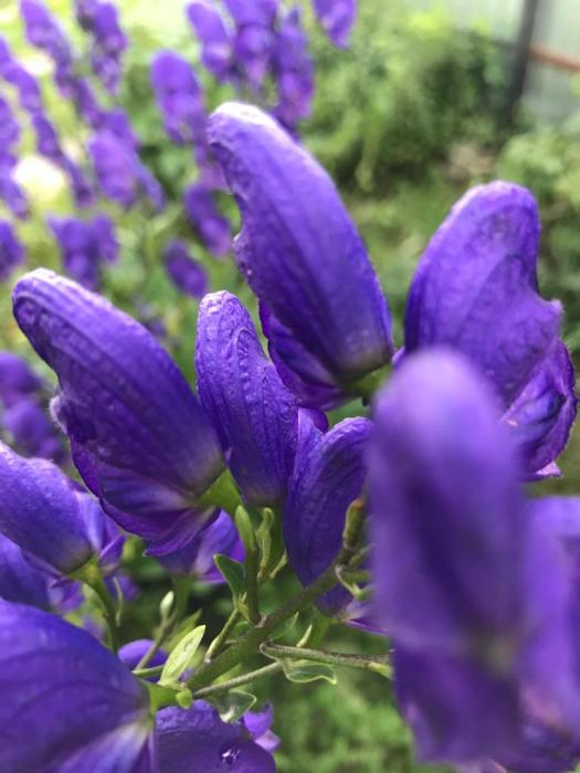 b3d40f32-5917-48f9-8cdb-de6793c487b9