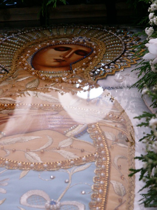 Usp5a ������� ��������� ����������