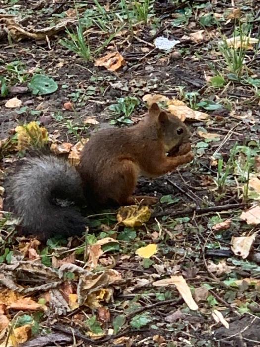 f7c20b43-9795-4871-aa0f-dae60f678a55