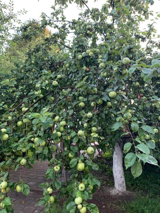 d415ccb4-e192-4816-bec0-c1b277ba18be