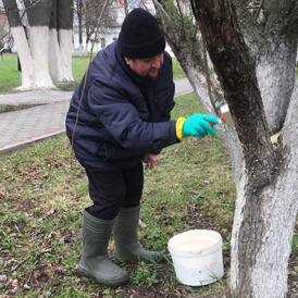 �������� ��������� �������� � ������������ ����