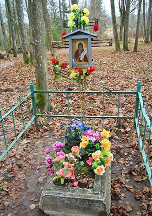 3 ������ ����. �������� ����������