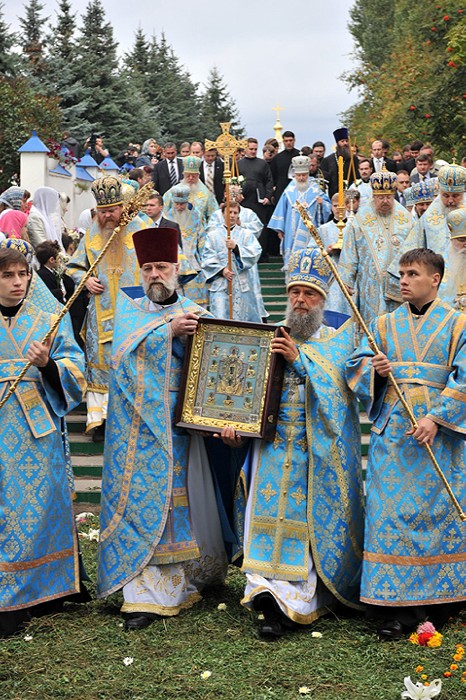 8abc ������������ �������� ���