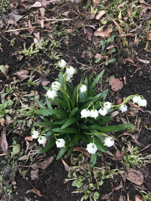 39b7b49f-6619-4e29-9efa-109abf80290b