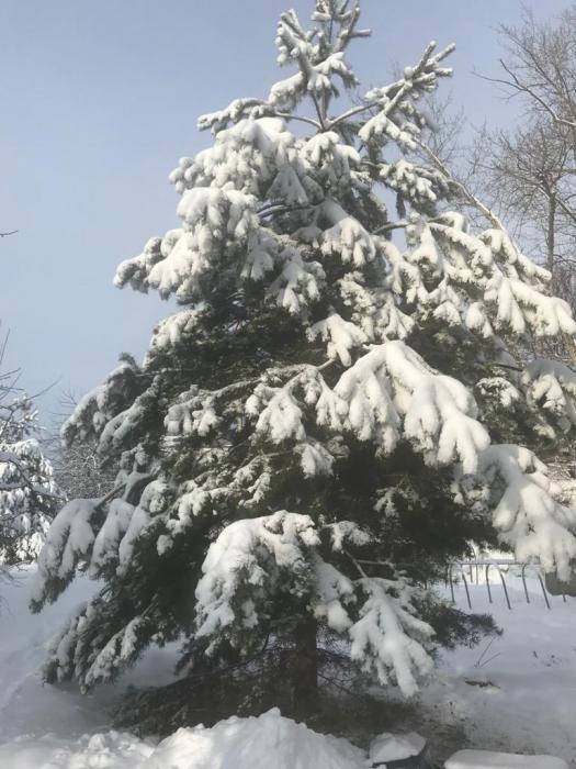 793a329b-c16a-4d45-a1ae-c4ed727d84cf