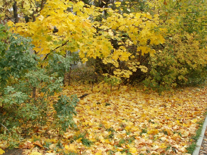 9a �� ������ � ���������