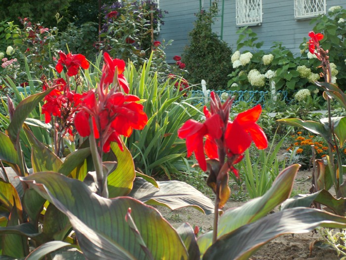 7 ������ ��������������