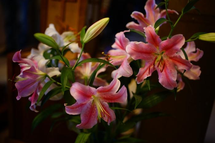 DSC00489