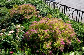 Image00009