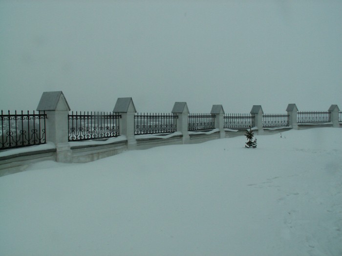 6  ������ �����