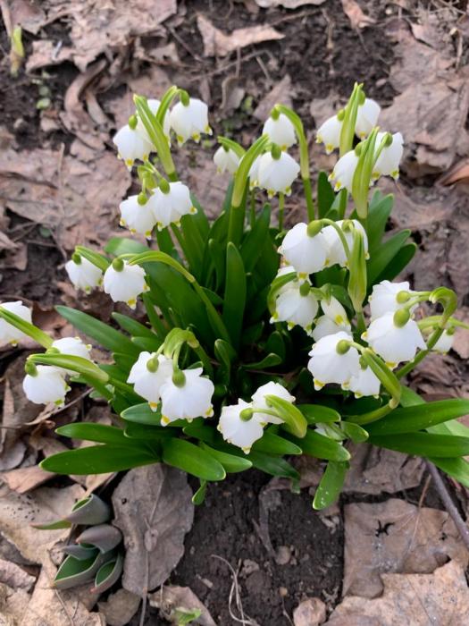 9efcef49-aff9-43d3-823f-25f626dcd5aa