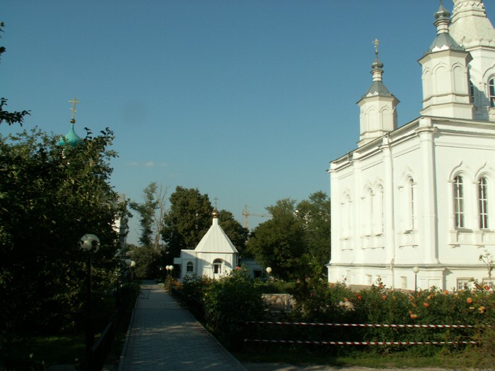 9abc ���������