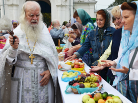 � ������������ �������� ������������ ������� ���� � ����� ������ ������ ������