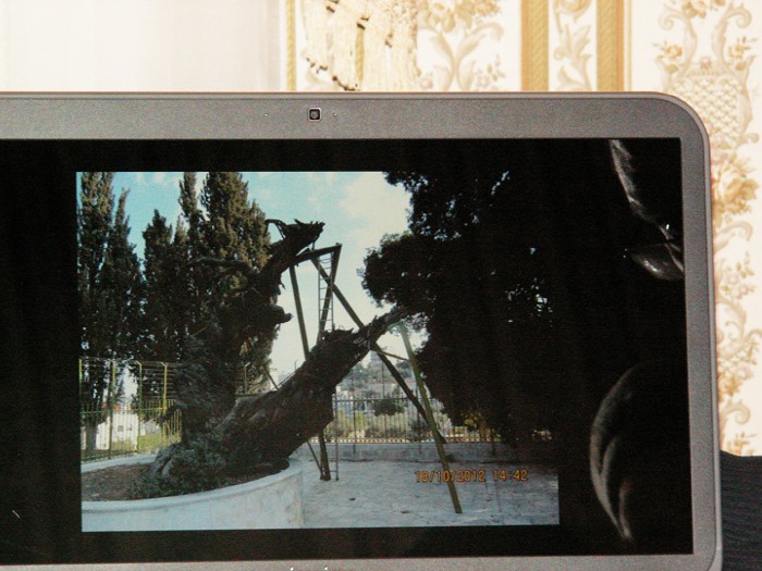 8abc ����������� ���