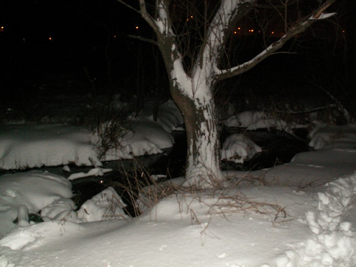 7ab ������� ��������, ����� �����