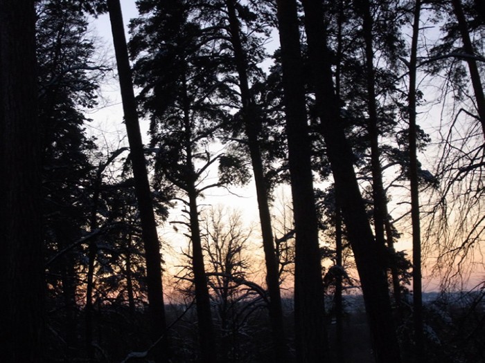 8 � ���� ����� � �������