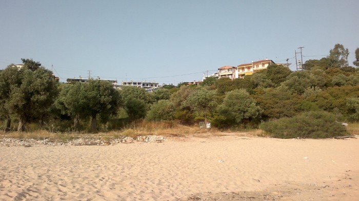 9ab ���� � �����������