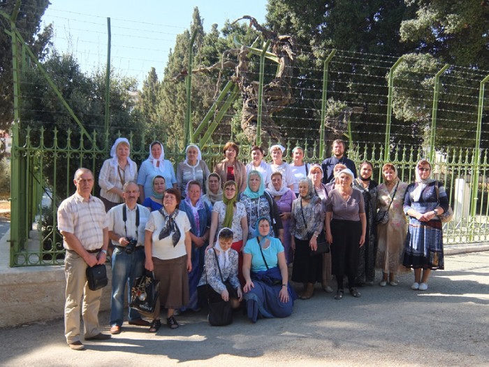 7ab ����� ������������ ����