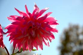 Image00004